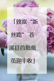 致富“新丝路” 苍溪县首批蚕茧迎丰收