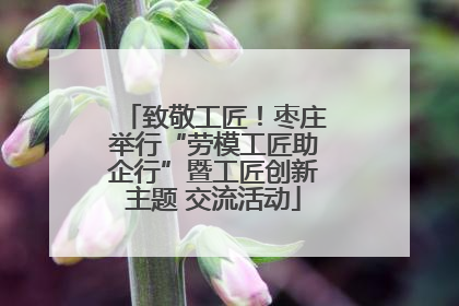 致敬工匠！枣庄举行“劳模工匠助企行”暨工匠创新主题 交流活动