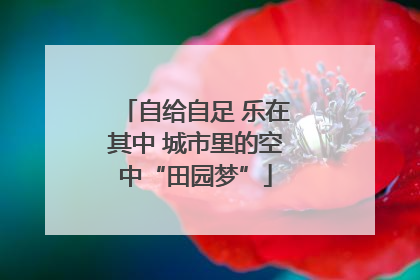 自给自足 乐在其中 城市里的空中“田园梦”