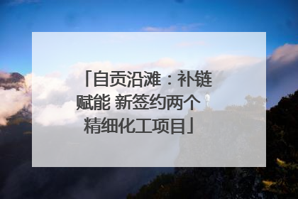 自贡沿滩：补链赋能 新签约两个精细化工项目