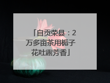 自贡荣县：2万多亩茶用栀子花吐露芳香