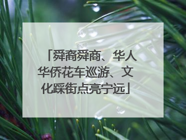 舜裔舜商、华人华侨花车巡游、文化踩街点亮宁远