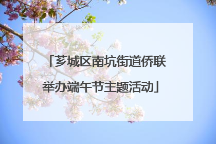 芗城区南坑街道侨联举办端午节主题活动
