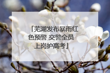 芜湖发布暴雨红色预警 交警全员上岗护高考