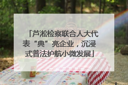 芦淞检察联合人大代表“典”亮企业，沉浸式普法护航小微发展