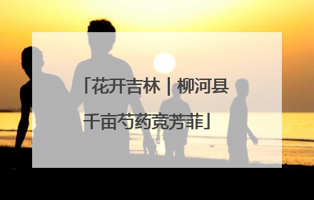 花开吉林｜柳河县千亩芍药竞芳菲