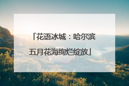 花语冰城：哈尔滨五月花海绚烂绽放