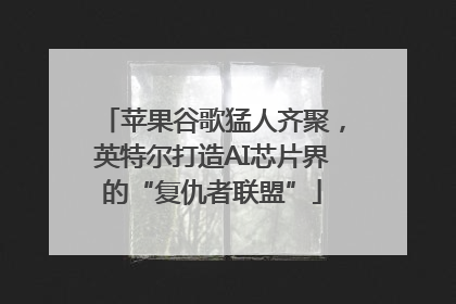 苹果谷歌猛人齐聚，英特尔打造AI芯片界的“复仇者联盟”
