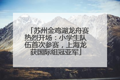 苏州金鸡湖龙舟赛热烈开场：小学生队伍首次参赛，上海龙获国际组冠亚军