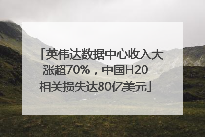 英伟达数据中心收入大涨超70%，中国H20相关损失达80亿美元
