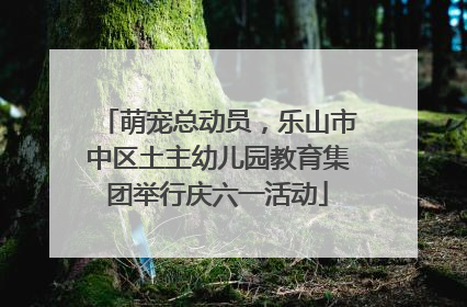 萌宠总动员，乐山市中区土主幼儿园教育集团举行庆六一活动