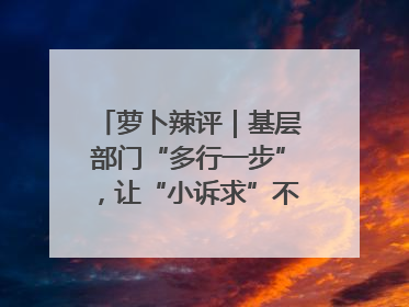 萝卜辣评｜基层部门“多行一步”，让“小诉求”不缺席法治守护