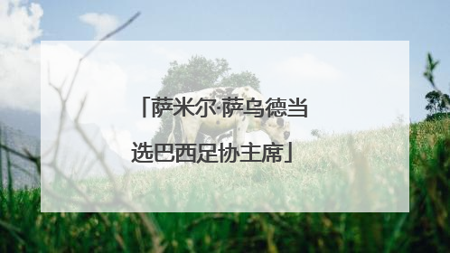 萨米尔·萨乌德当选巴西足协主席