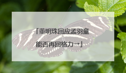 董明珠回应孟羽童能否再回格力→