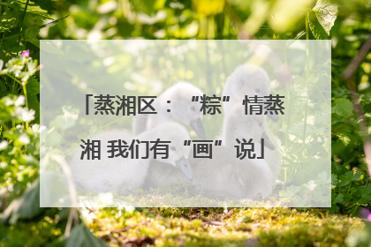 蒸湘区：“粽”情蒸湘 我们有“画”说