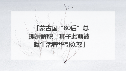 蒙古国“80后”总理遭解职，其子此前被曝生活奢华引众怒