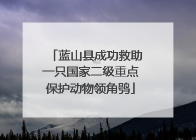 蓝山县成功救助一只国家二级重点保护动物领角鸮
