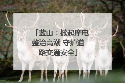 蓝山：掀起摩电整治高潮 守护道路交通安全