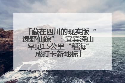 藏在四川的现实版“绿野仙踪”：宜宾深山罕见15公里“稻海”成打卡新地标