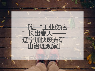让“工业伤疤”长出春天——辽宁加快废弃矿山治理观察