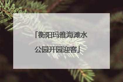 衡阳玛雅海滩水公园开园迎客