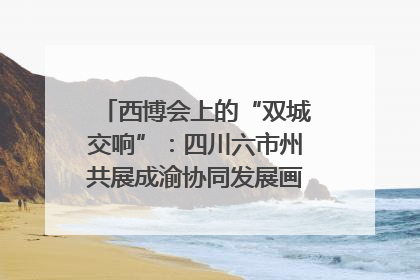 西博会上的“双城交响”：四川六市州共展成渝协同发展画卷｜西博视界