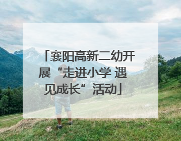 襄阳高新二幼开展“走进小学 遇见成长”活动