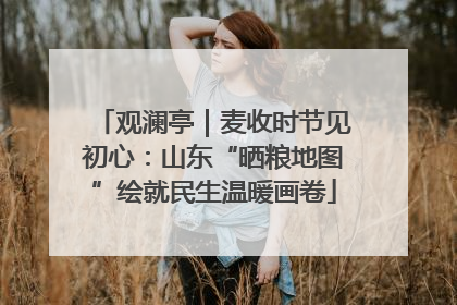 观澜亭｜麦收时节见初心：山东“晒粮地图”绘就民生温暖画卷