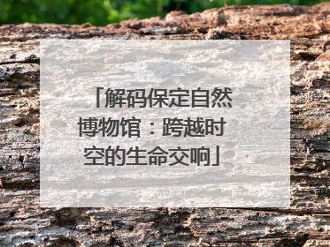解码保定自然博物馆：跨越时空的生命交响