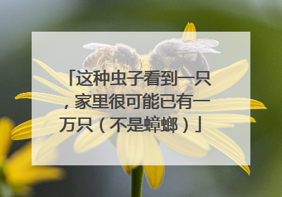 这种虫子看到一只，家里很可能已有一万只（不是蟑螂）