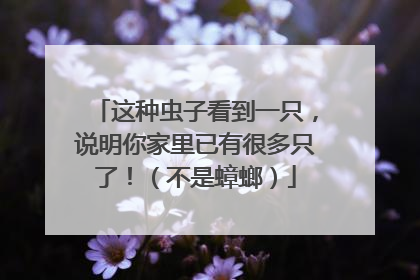 这种虫子看到一只，说明你家里已有很多只了！（不是蟑螂）