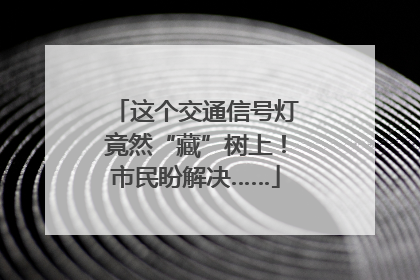 这个交通信号灯竟然“藏”树上！市民盼解决……