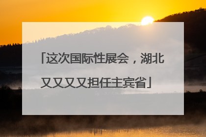 这次国际性展会，湖北又又又又担任主宾省