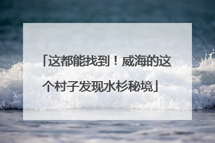 这都能找到！威海的这个村子发现水杉秘境