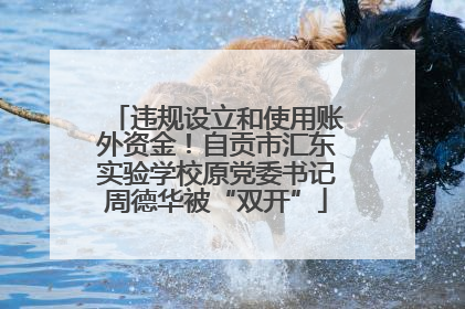 违规设立和使用账外资金！自贡市汇东实验学校原党委书记周德华被“双开”