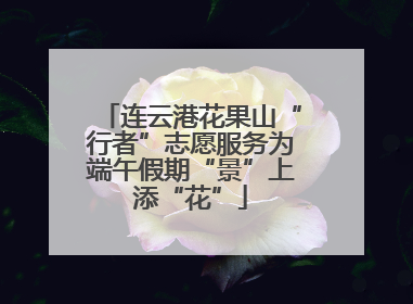 连云港花果山“行者”志愿服务为端午假期“景”上添“花”