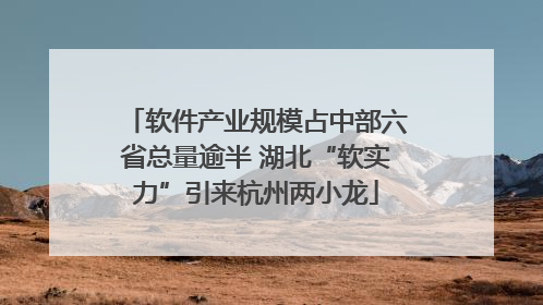 软件产业规模占中部六省总量逾半 湖北“软实力”引来杭州两小龙