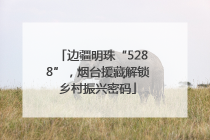 边疆明珠“5288”，烟台援藏解锁乡村振兴密码