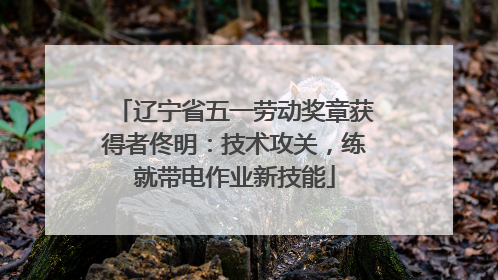 辽宁省五一劳动奖章获得者佟明：技术攻关，练就带电作业新技能