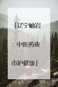 辽宁岫岩：中医药夜市护健康