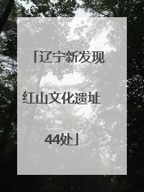 辽宁新发现红山文化遗址44处