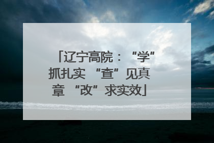 辽宁高院：“学”抓扎实 “查”见真章 “改”求实效