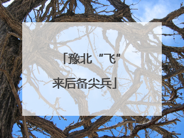 豫北“飞”来后备尖兵