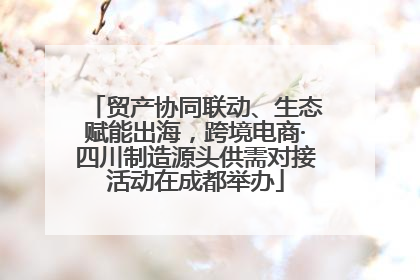 贸产协同联动、生态赋能出海，跨境电商·四川制造源头供需对接活动在成都举办
