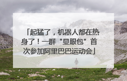 起猛了，机器人都在热身了！一群“显眼包”首次参加阿里巴巴运动会