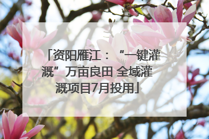 资阳雁江：“一键灌溉”万亩良田 全域灌溉项目7月投用