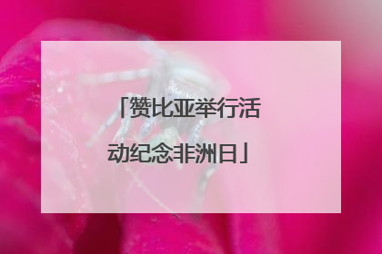 赞比亚举行活动纪念非洲日