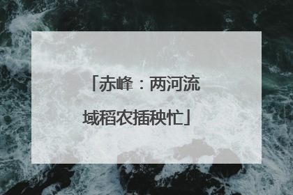 赤峰：两河流域稻农插秧忙