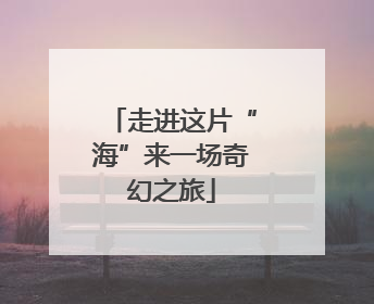 走进这片“海”来一场奇幻之旅