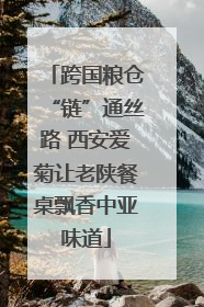 跨国粮仓“链”通丝路 西安爱菊让老陕餐桌飘香中亚味道
